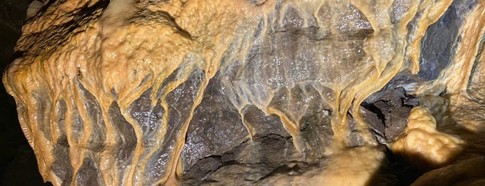 Grottes de Hotton is one of Rendeux et environs.