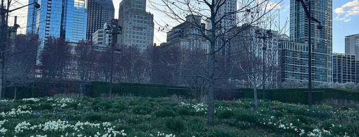 Lurie Garden is one of Night in chicago.