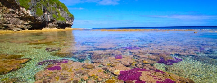 Niue is one of World Countries (Europe, Asia & Oceania).