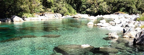 Fiordland National Park is one of New Zealand.