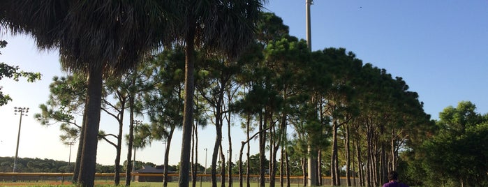 The Baseball Fields at South County Regional Park is one of Kamila : понравившиеся места.