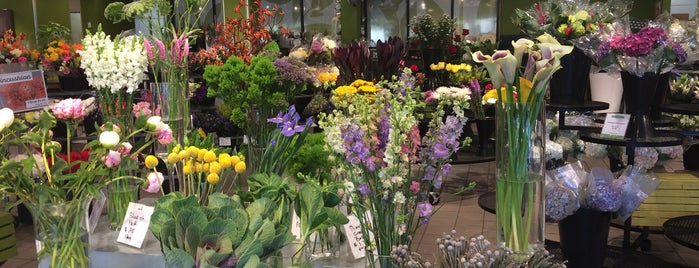 Field of Flowers is one of Shopping.