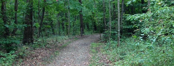 O'Neil Woods Metro Park is one of Locais curtidos por Alyssa.