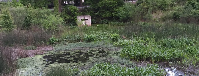 Water Garden Observation Deck is one of Orte, die Arthur gefallen.