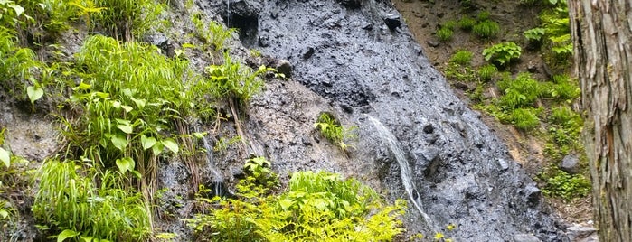 須賀の滝 is one of 自然地形.
