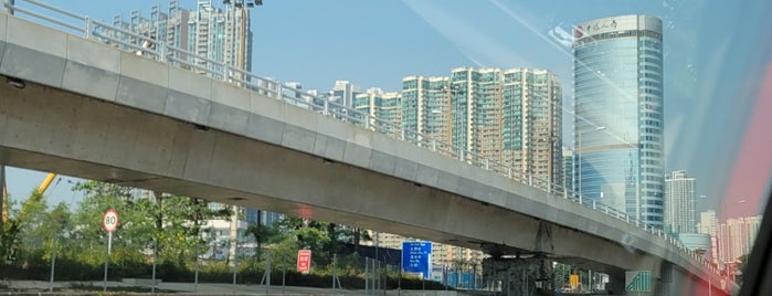 Western Kowloon Highway 西九龍公路 is one of 香港道.