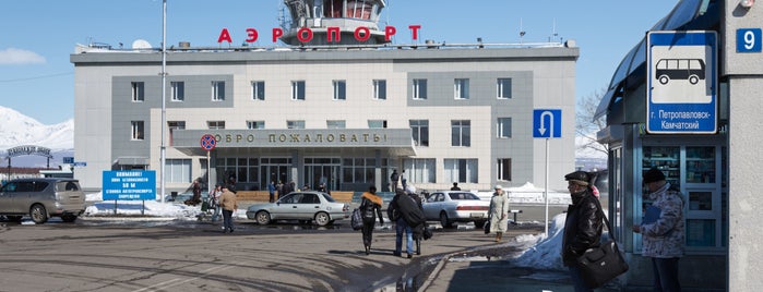 Yelizovo International Airport (PKC) is one of Аэропорты России.