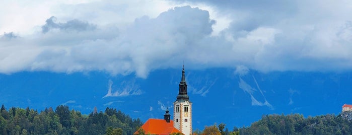 Blejski Otok (Bled Island) is one of Slovenia Bosnia Croatia.