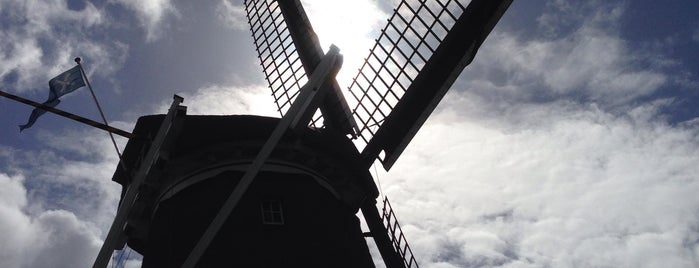 Molen De Herder is one of I love Windmills.