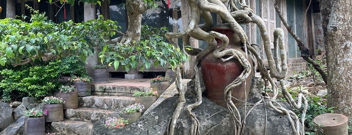 Thung Nham Nature Preserve is one of Tam Coc - Vietnam.