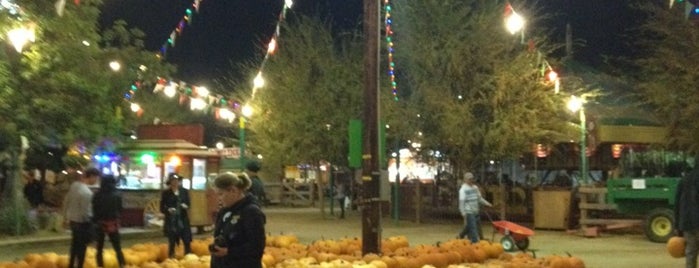 Pierce College: Farm Center is one of Best Pumpkin Patches in the Valley.