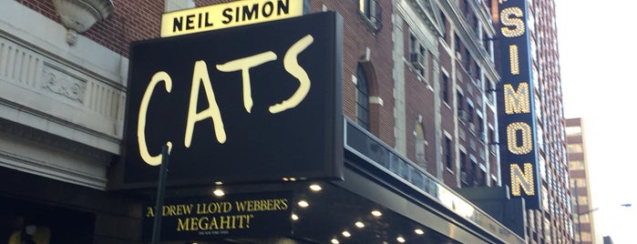 Neil Simon Theatre is one of Locais curtidos por Ali.