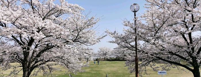 上野田ふれあい公園 is one of 公園.