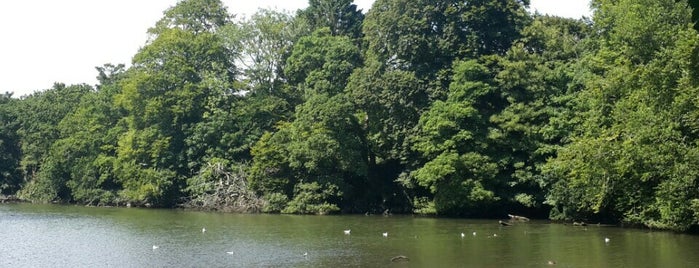 Dean Cross Park is one of Plymouth Green Spaces.