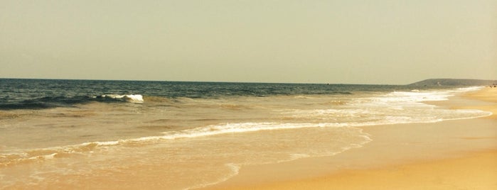 Things to do in goa