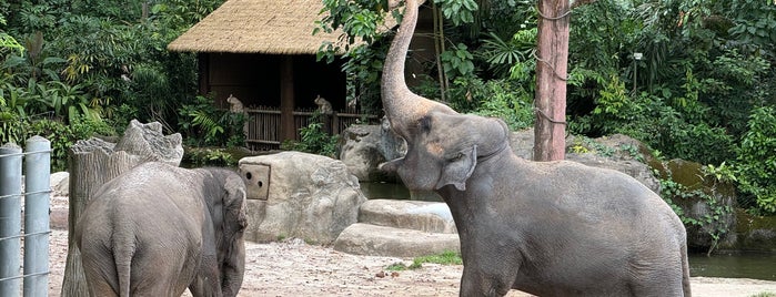 Elephants of Asia is one of Singapore 🇸🇬.