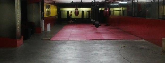 SYENA Martial Art Center is one of Living in Jakarta.
