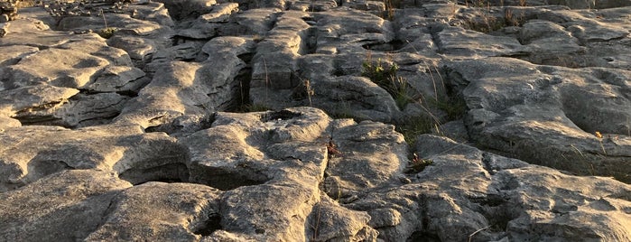 Burren National Park is one of Ireland To Do.