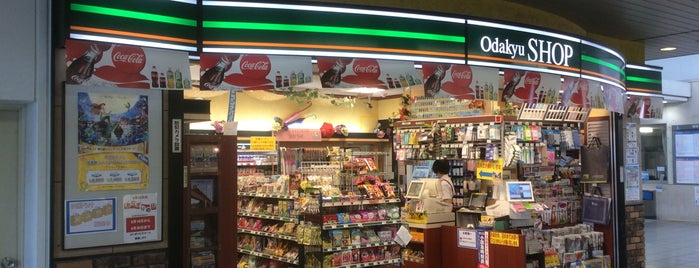 Odakyu MART 愛甲石田店 is one of 周辺地域.