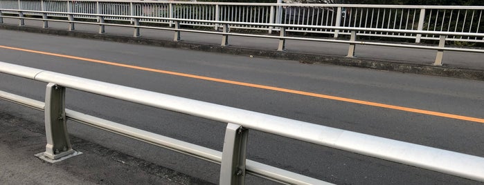 新武者寄橋 is one of かながわの橋100選.