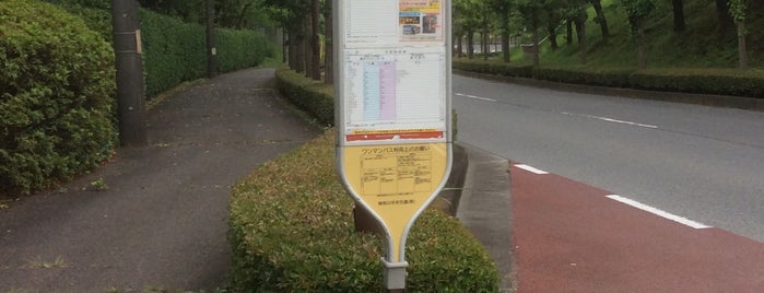 日産先進技術開発センター前バス停 is one of 周辺地域.