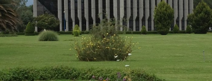 Colegio de Postgraduados is one of Dalí'ın Beğendiği Mekanlar.