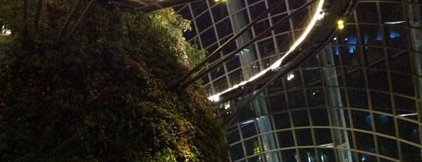 Cloud Forest is one of Singapore's Best.
