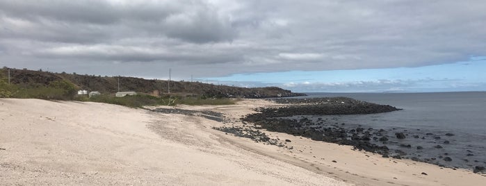 Playa de Baltra is one of Lieux qui ont plu à Brett.