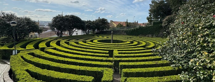 Parque de S. Roque is one of Parque&Jardim.