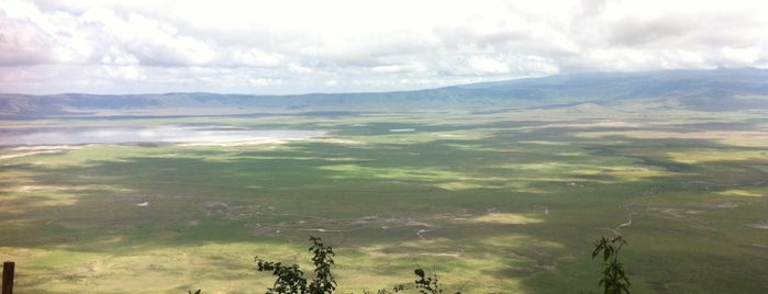 Ngorongoro Conservation Area is one of V Tanzanii s CK Mundo.