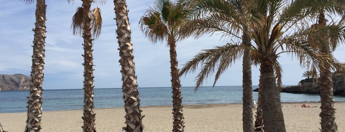 Playa El Arenal is one of Denia, Alicante. Real estate-Immobilien-Inmobil.