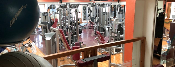 Sforza Gym is one of Gyms.