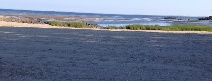 Old Mill Beach is one of Davidさんのお気に入りスポット.