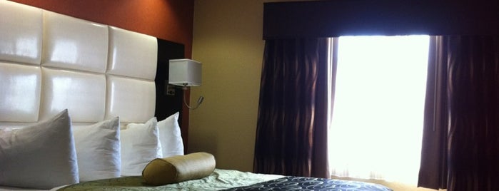 Best Western Plus Jfk Inn & Suites is one of Hotels I Have Stayed At.