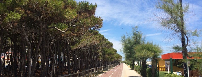 Lungomare is one of Guide to Alba Adriatica's best spots.