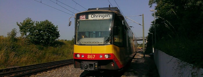 S4 Achern – Öhringen-Cappel is one of meins.