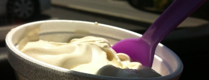 Penguin's Frozen Yogurt is one of Favorite places to eat.