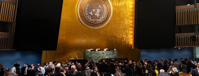 Assemblea generale delle Nazioni Unite is one of NYC.