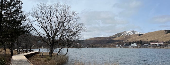 Lake Shirakaba is one of 観光.