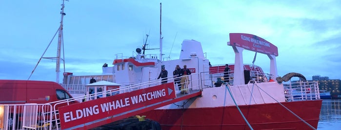 Elding Whale Watching is one of Emilieさんのお気に入りスポット.