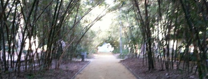 Parque García Sanabria is one of Walks.