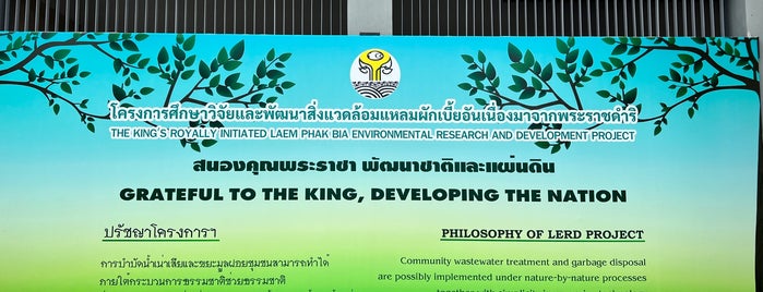 Royally-Initiated Laem Phak Bia Environmental Research and Development Project is one of ประจวบคีรีขันธ์, หัวหิน, ชะอำ, เพชรบุรี.