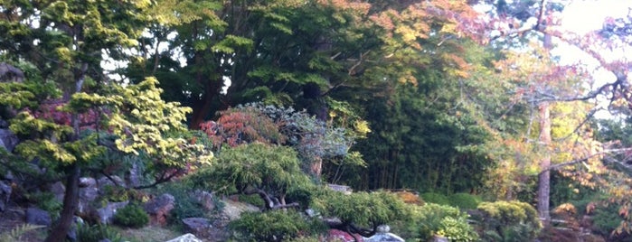 Japanese Tea Garden is one of Golden Gate Park Spots.