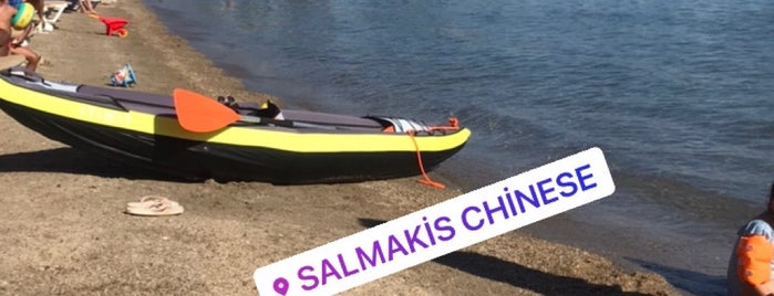 Salmakis Chinese Restaurant is one of Bodrum.
