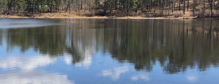 Brookhaven State Park is one of New York State Parks.