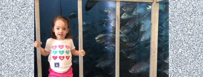 Chatham Shark Center is one of Lugares favoritos de Jessica.