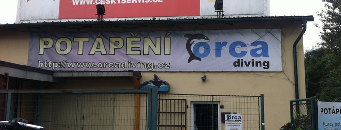 Orca Diving is one of Orte, die Petr gefallen.