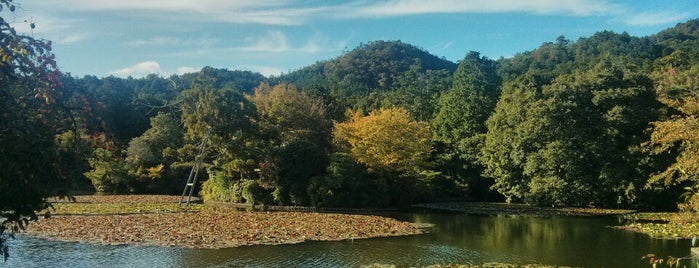 Ryoan-ji is one of 京都.