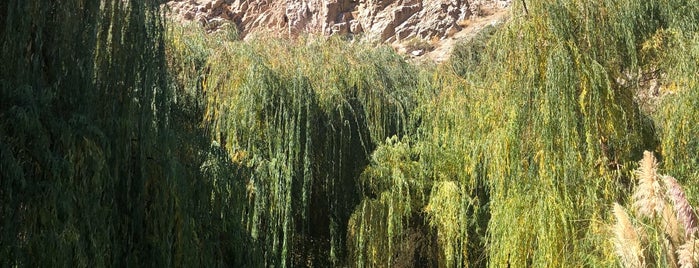 Refugio Del Angel is one of Valle del Elqui.