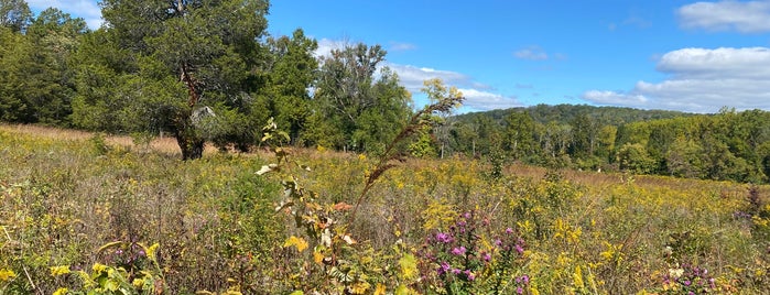 Bowman's Hill Wildflower Preserve is one of DE River.